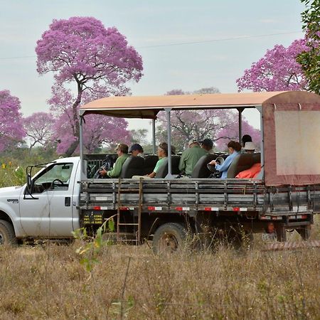 Southwild Pantanal Lodge Pixaim Экстерьер фото