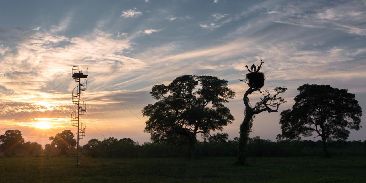 Southwild Pantanal Lodge Pixaim Экстерьер фото