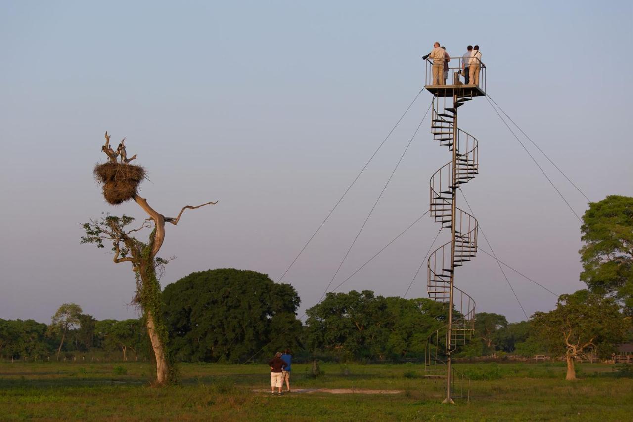 Southwild Pantanal Lodge Pixaim Экстерьер фото
