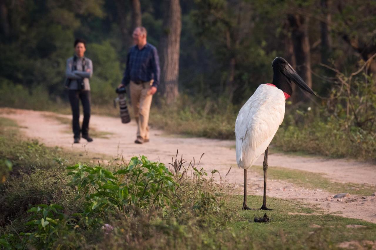 Southwild Pantanal Lodge Pixaim Экстерьер фото