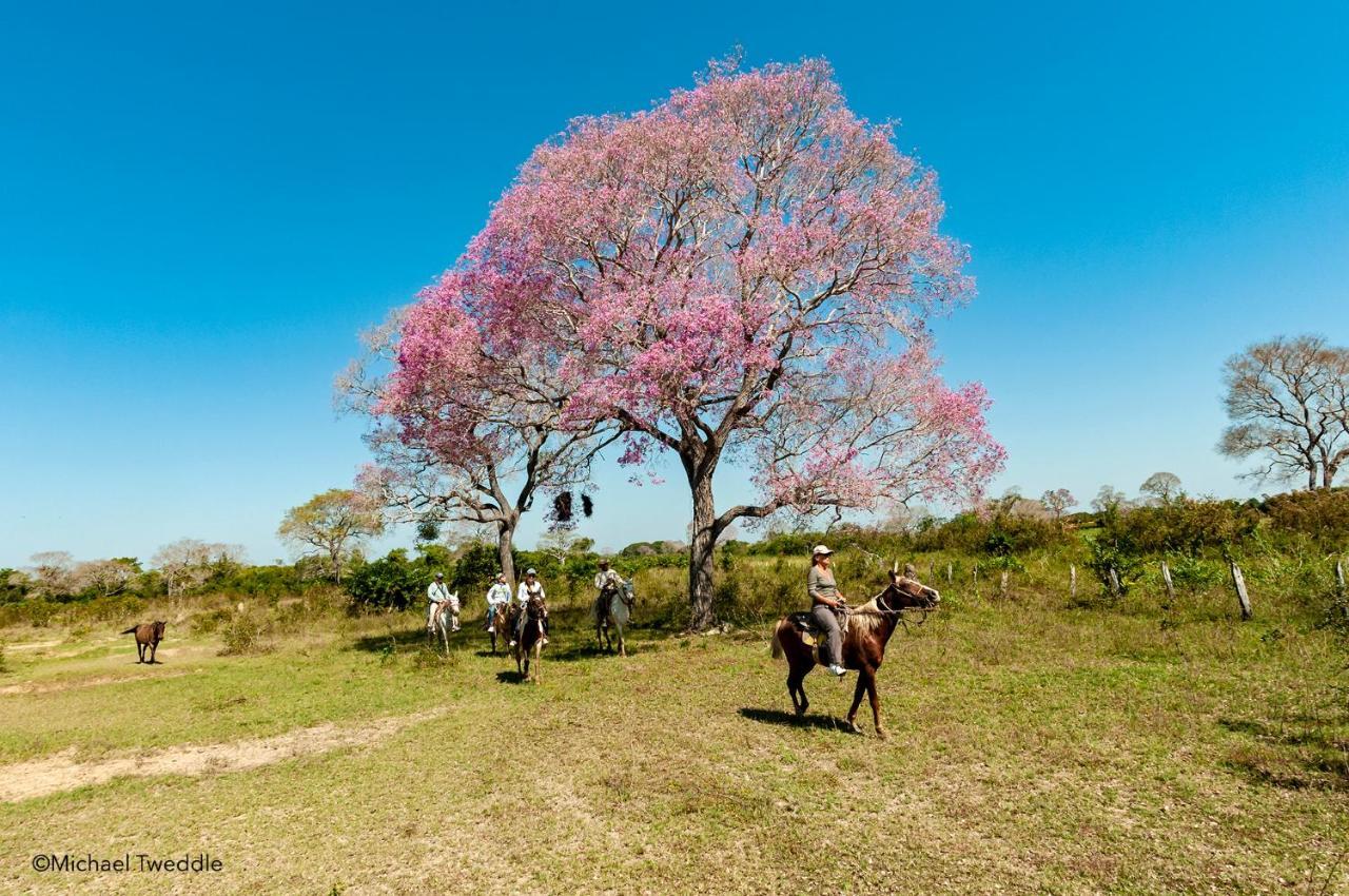 Southwild Pantanal Lodge Pixaim Экстерьер фото