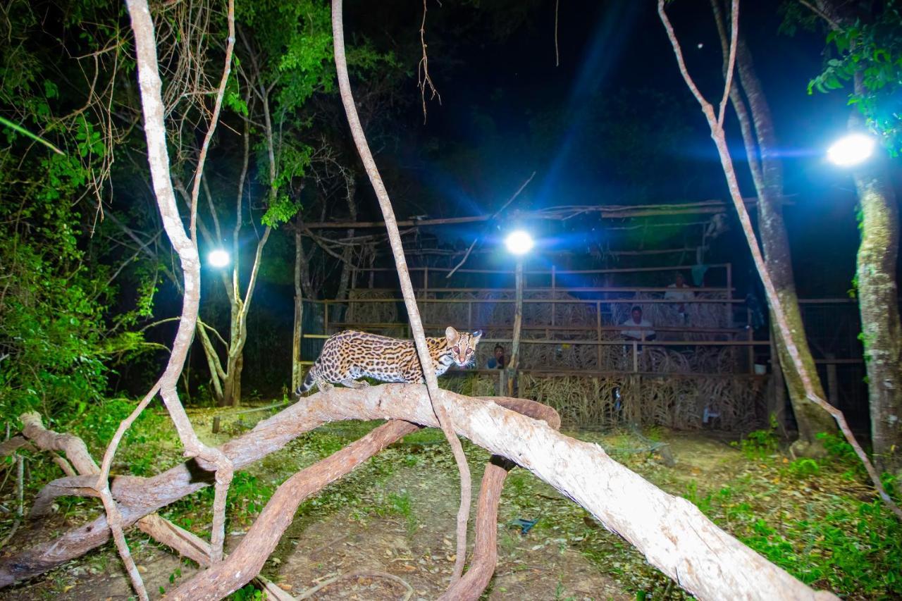 Southwild Pantanal Lodge Pixaim Экстерьер фото