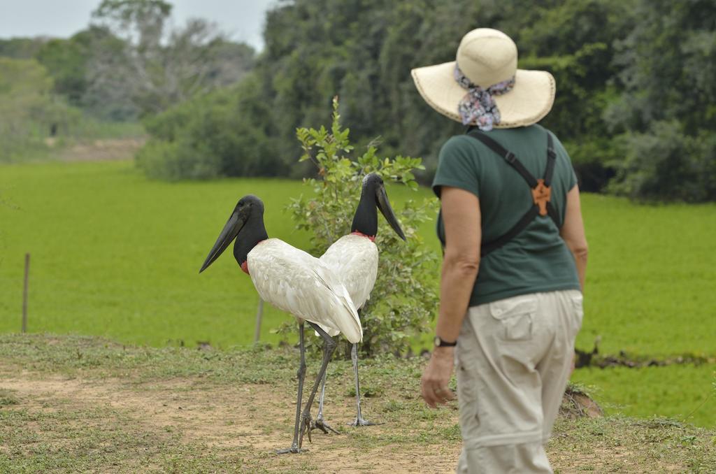 Southwild Pantanal Lodge Pixaim Экстерьер фото