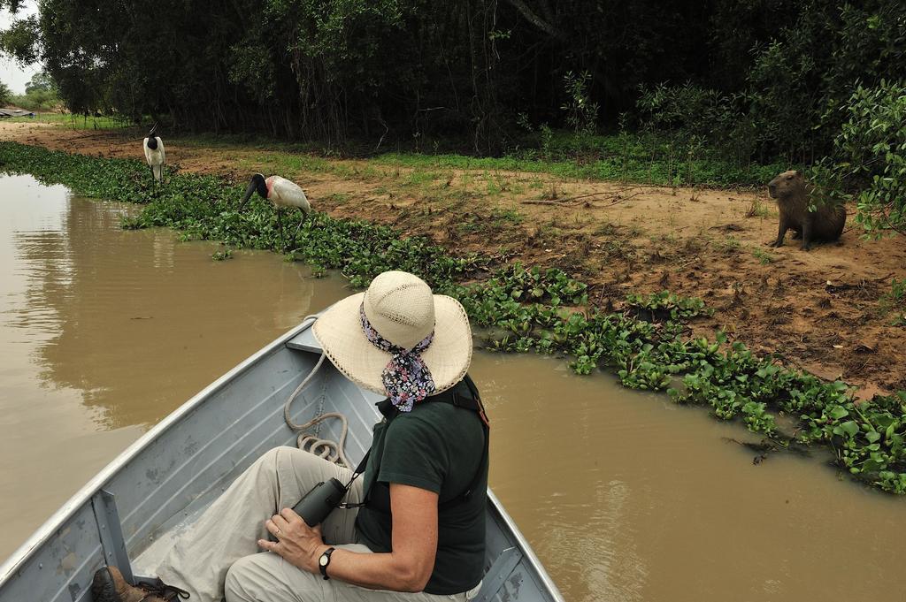 Southwild Pantanal Lodge Pixaim Экстерьер фото