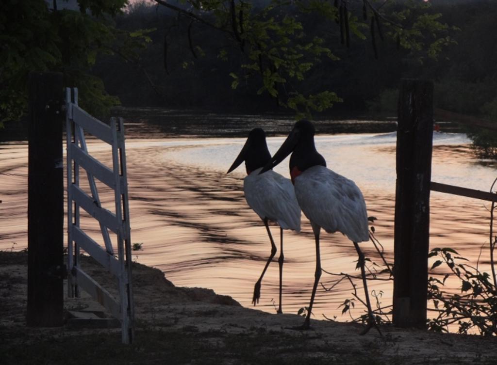 Southwild Pantanal Lodge Pixaim Экстерьер фото
