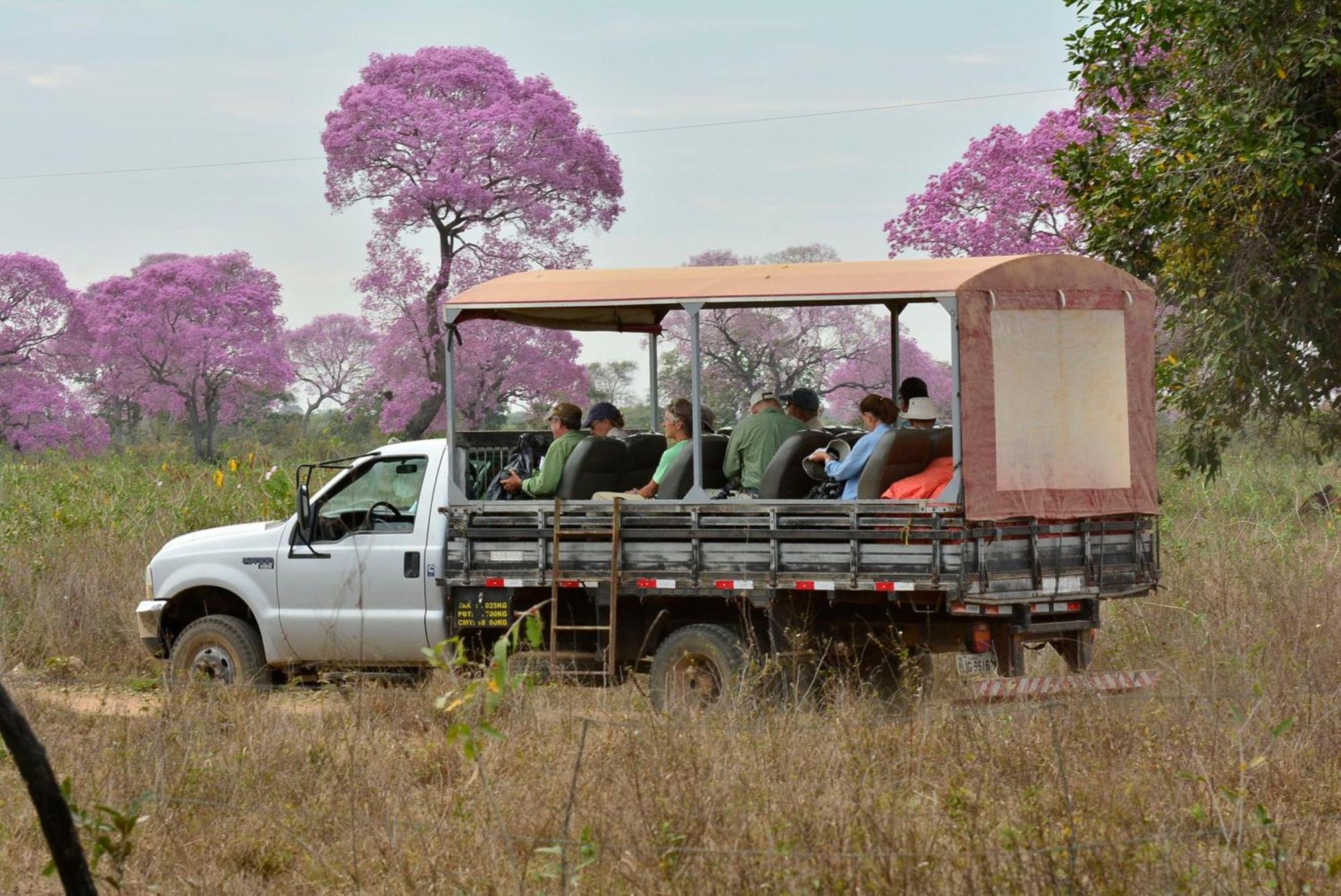 Southwild Pantanal Lodge Pixaim Экстерьер фото